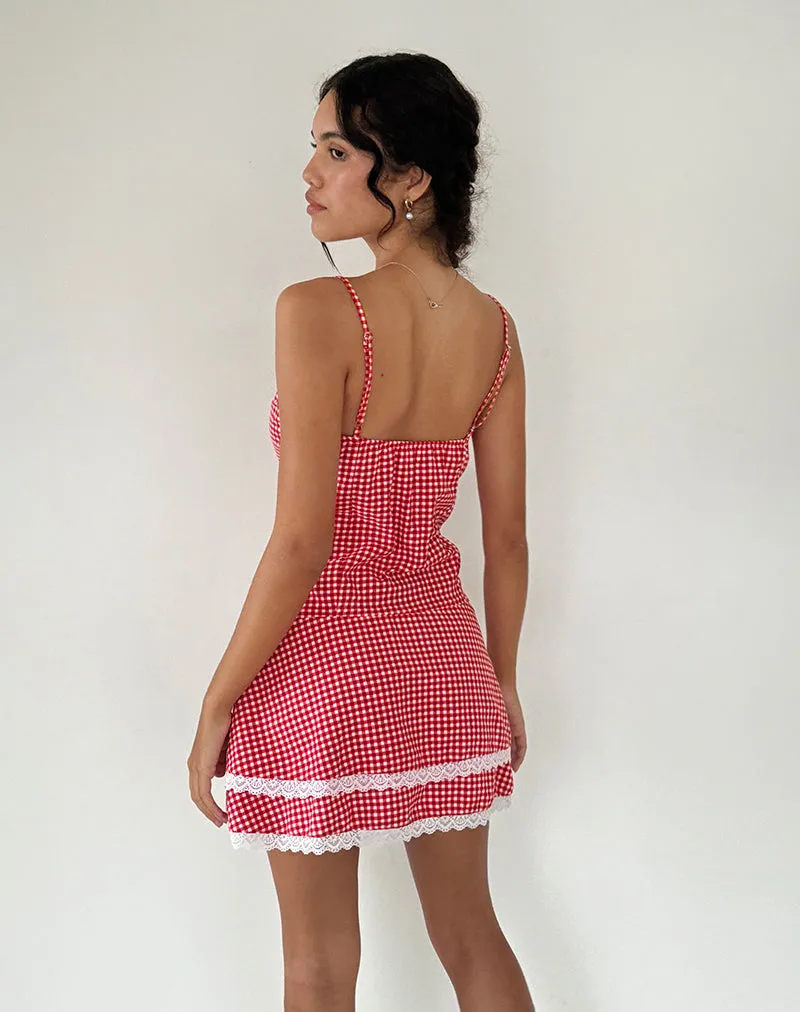 Flossie Mini Dress in Red Gingham